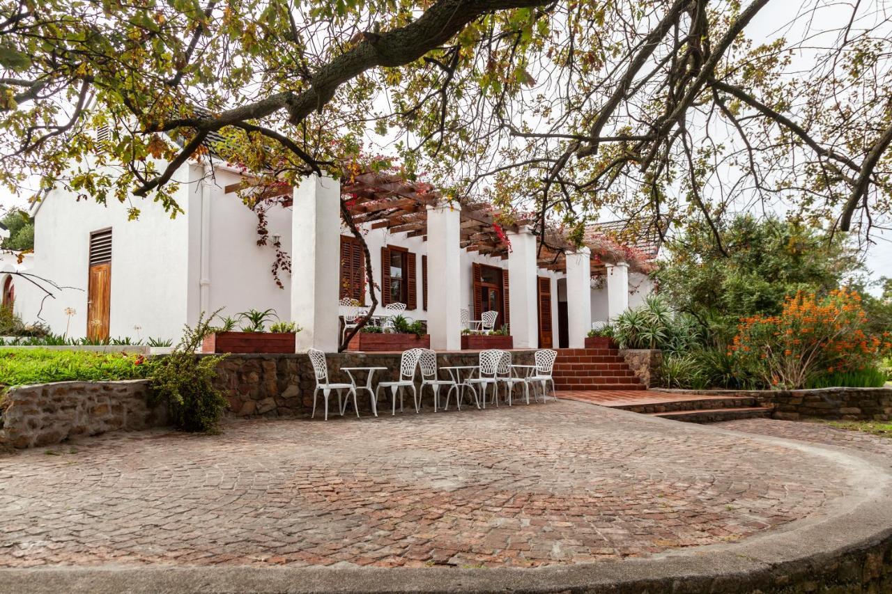 Ayama Wine Farm - Manor House Bed and Breakfast Wellington Eksteriør billede