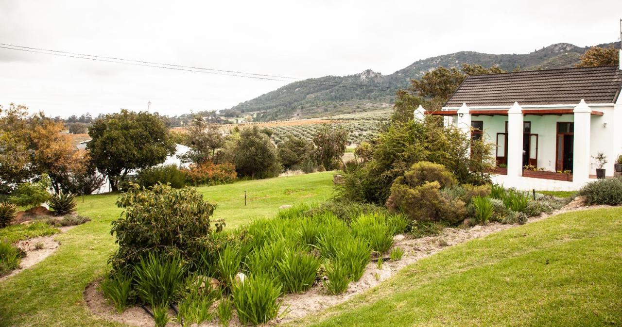Ayama Wine Farm - Manor House Bed and Breakfast Wellington Eksteriør billede