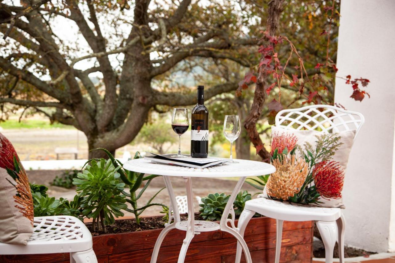 Ayama Wine Farm - Manor House Bed and Breakfast Wellington Eksteriør billede